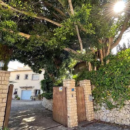 Prunera 5 -